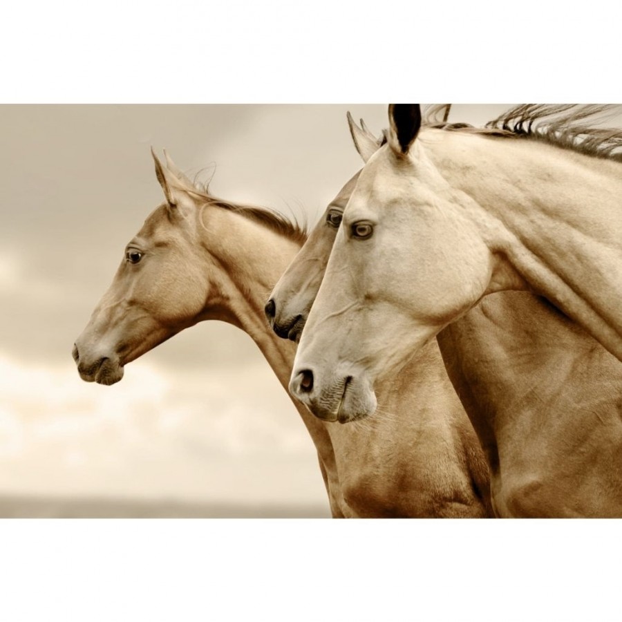 INVERTIDO Sepia Horses