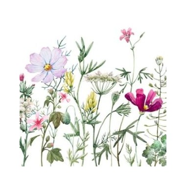 Spring Flowers with Stems