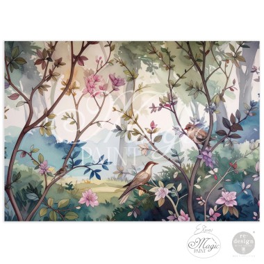 Bosque Encantado ....