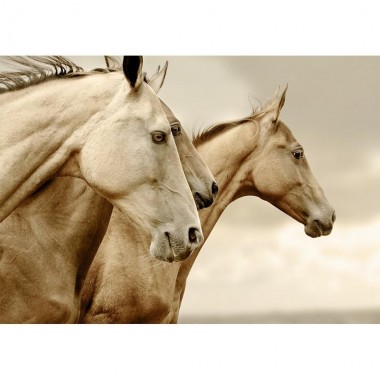 Sepia Horses